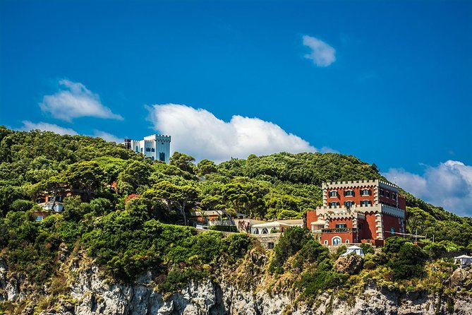 Tour of the island of Ischia in schooner - Aragonese Castle, seen from the sea