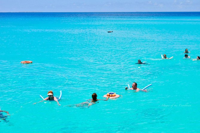 Tropical Catamaran Snorkeling, Sailing And Beach Experience - Key points to know before you book