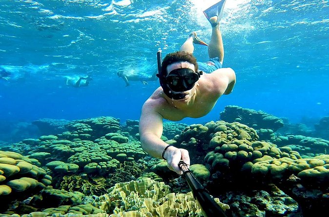 Tropical Dream Snorkel and Dinner Sail in Aruba - The Antilla shipwreck, the day’s signature stop