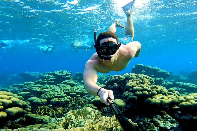 Tropical Sailing Experience with BBQ Lunch or BBQ Dinner in Aruba - Flamingo Island is a passing view, not a long stop