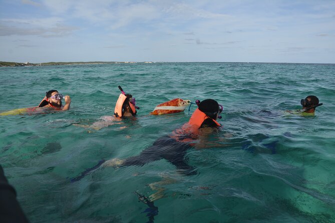 Tulum: Snorkeling and Private Sailing Tour - Who should book this Tulum experience?