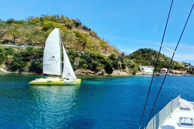 Two Hours of Sailing and Relaxation in the Bay of Saintes - Searching for sea turtles in the water