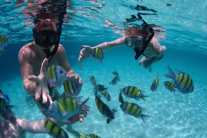 Up to 15 passengers Private Catamaran Sailing from Punta Cana - Why the private price can be good value