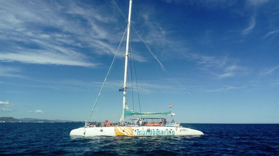 Valencia: Sailing Catamaran Cruise with Valencian Lunch - Anchoring near shore for the swimming stop