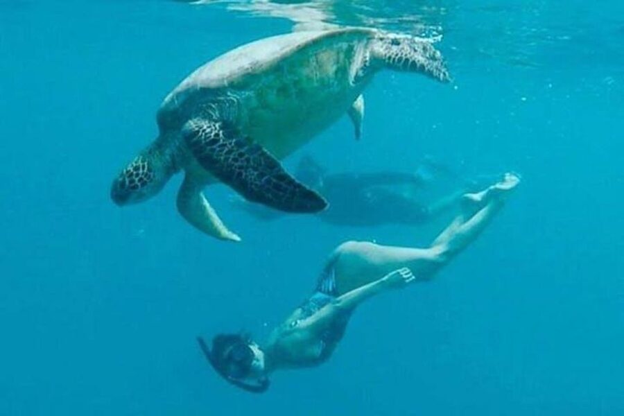 Waikiki Beach: Turtle Snorkeling and Sailing on Hāwea - Is $84 a fair price?