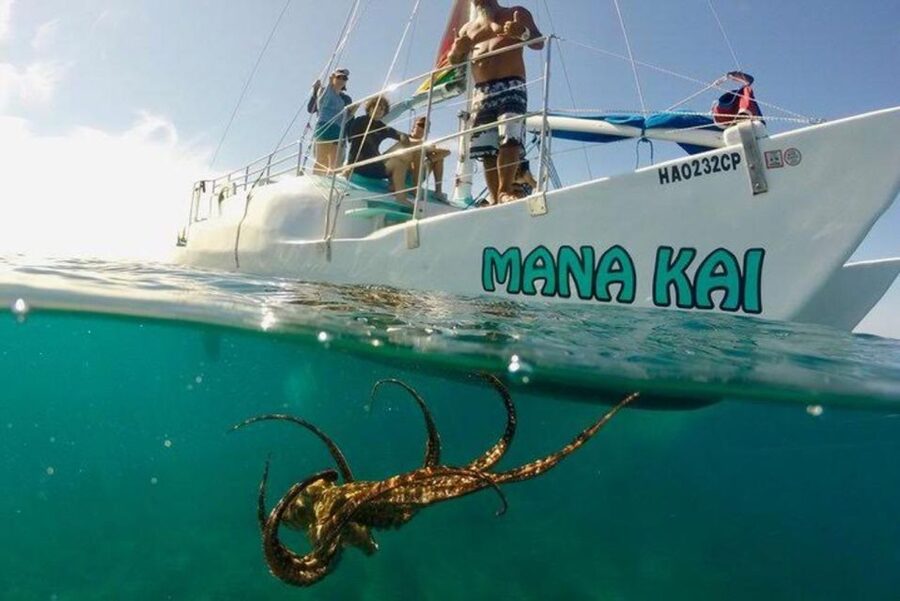 Waikiki Beach: Turtle Snorkeling and Sailing on Hāwea - Who will enjoy this trip most