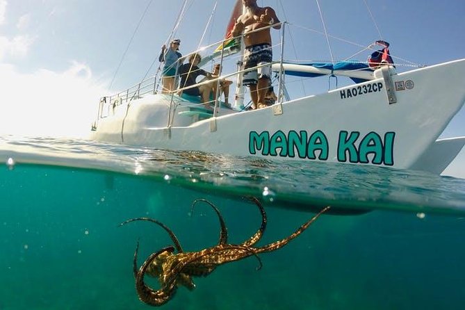 Waikiki Turtle Snorkel and Sail on Hawea Catamaran - The Hawea Catamaran and the Sailing Return