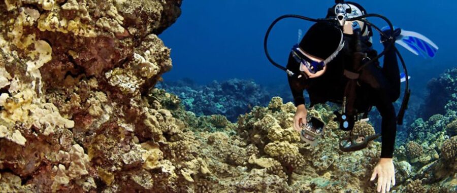 Waikoloa Catamaran Snorkel & Sail Adventure with Lunch - Key points to know before you book