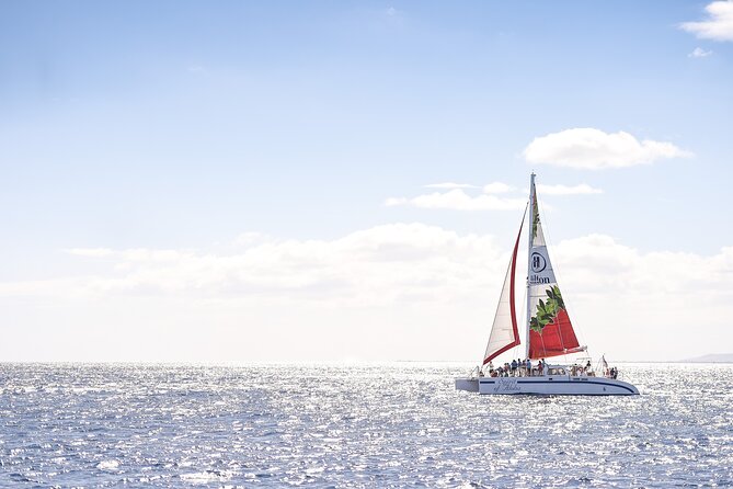 Waikoloa Turtle Catamaran Snorkel Sail - Key points to know before you book