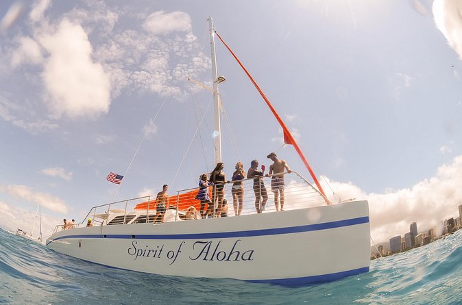 Waikoloa Turtle Catamaran Snorkel Sail - Snorkeling with turtles and reef fish