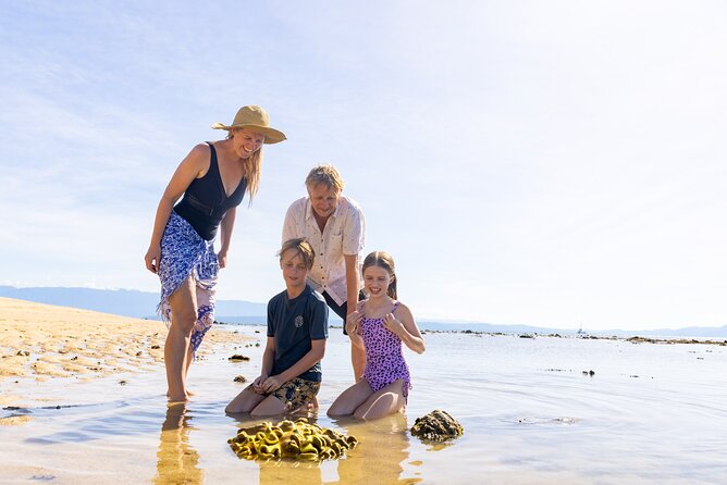 Wavedancer Low Isles Great Barrier Reef Sailing Cruise - Key points to know before you book