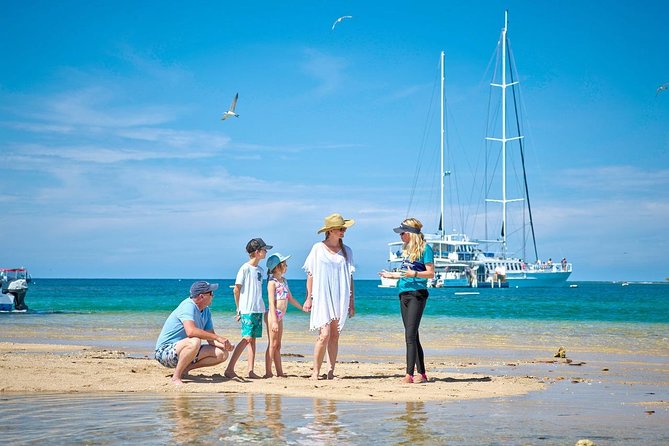 Wavedancer Low Isles Great Barrier Reef Sailing Cruise - Who gets the best value from the $190.07 price