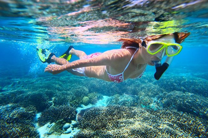 West Oahu Dolphin Watch and Snorkel Sail with Lunch - Makua Beach, Mauna Lahilahi, and Kaneana Cave