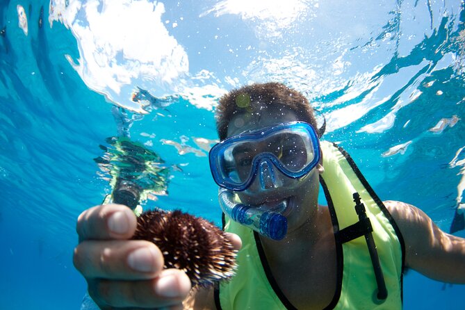 West Oahu Dolphin Watch and Snorkel Sail with Lunch - Finding the calm snorkeling site