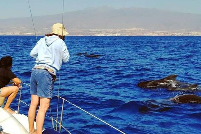 Whale and Dolphin Small Group Sailing from Tenerife South - Setting out from Puerto Colón