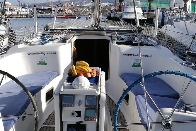 Whale and Dolphin Watching Sailing Boat with Drinks, Snacks and Swimming Time - Captain Guy and the human side of the trip