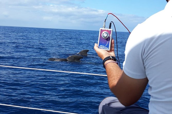 Whale and Dolphin Watching Sailing Boat with Drinks, Snacks and Swimming Time - Swimming and snorkeling near the coast
