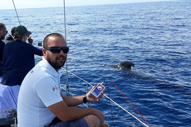 Whale and Dolphin Watching Sailing Boat with Drinks, Snacks and Swimming Time - Who will enjoy this boat most?
