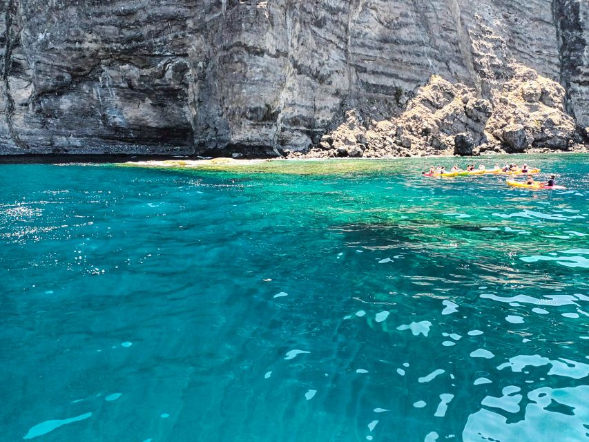 Whale and Dolphin Watching Sailing Tour – Los Gigantes (3H) - Swimming and snorkeling beside the cliffs