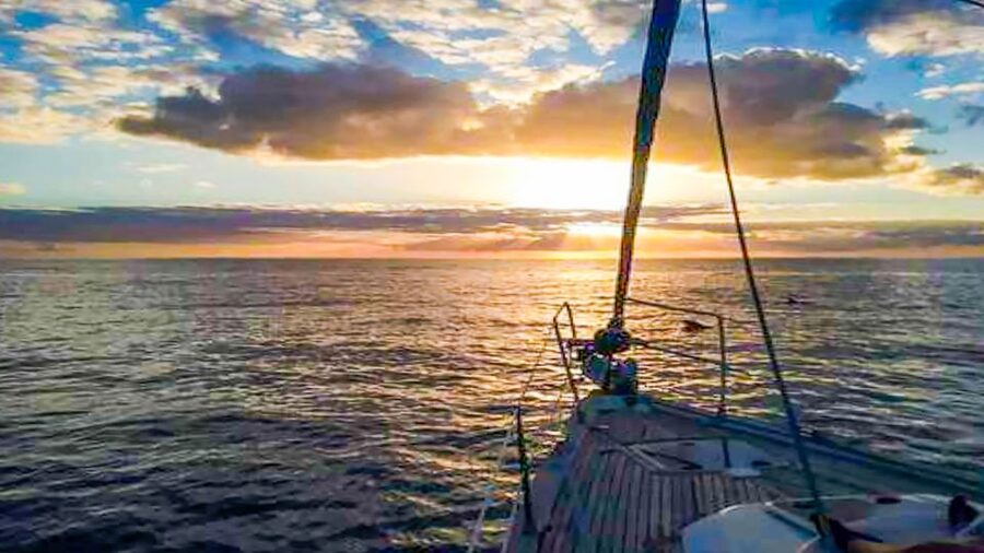 Whale and Dolphin Watching Sailing Tour – Los Gigantes (3H) - Cold tapas, fruit, and drinks on the return