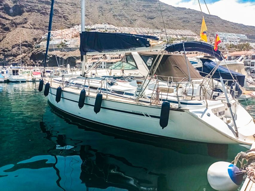 Whale and Dolphin Watching Sailing Tour – Los Gigantes (3H) - What the tour feels like in real conditions
