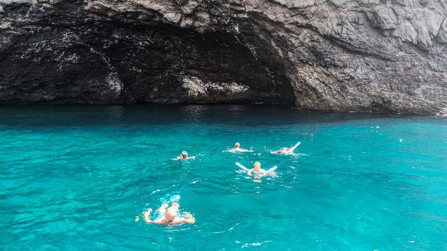 Whale and Dolphin Watching Sailing Tour – Los Gigantes (3H) - Shared sailing or private charter?