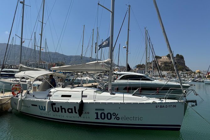 Whale & Dolphin Observation on Electric Sailing Boat in Denia - Sophia’s marine-life masterclass
