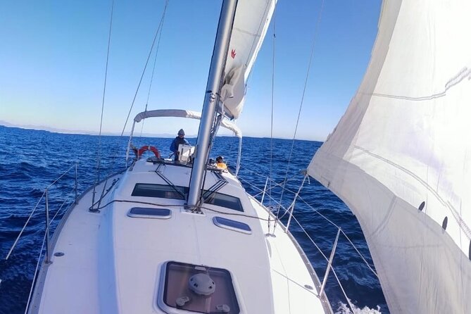 Whale & Dolphin Observation on Electric Sailing Boat in Denia - Fruit, drinks, and the missing brunch