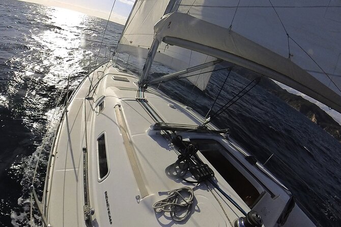Whale & Dolphin Observation on Electric Sailing Boat in Denia - Is $114.39 a fair price?