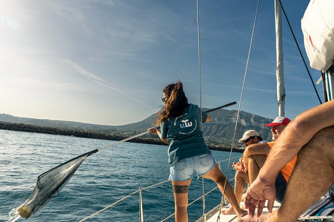 Whale & Dolphin Observation on Electric Sailing Boat in Denia - Weather, cancellations, and planning ahead