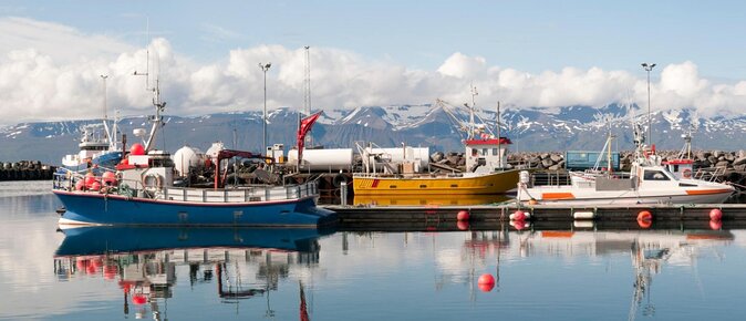 Whale Watching on a Traditional Oak Sailing Ship from Husavik - Key points to know before you sail