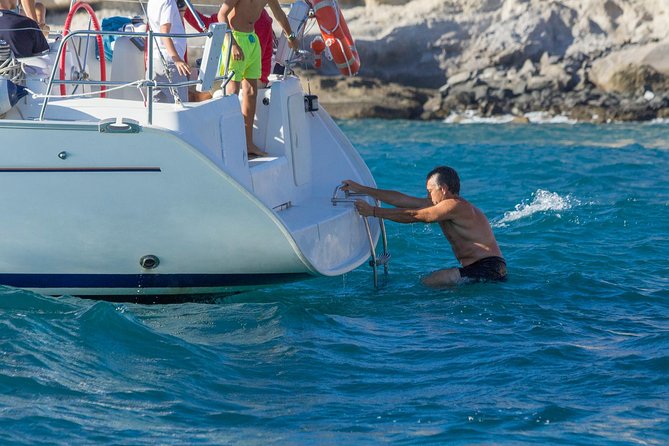 Whales & Dolphins watching in exclusive sailboat - A swim stop, sandwiches, and drinks on board