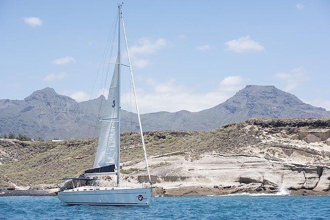 Whales & Dolphins watching in exclusive sailboat - Is $71.35 a fair price?
