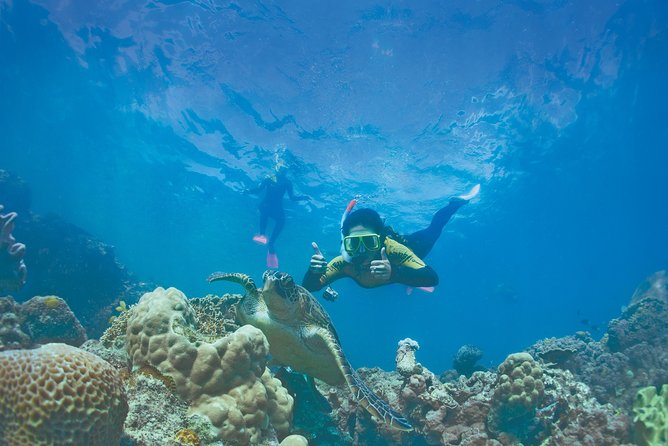 Whitsunday Islands Sail, SUP & Snorkel Tour- Small group - A comfortable way to spend six hours in the Whitsundays