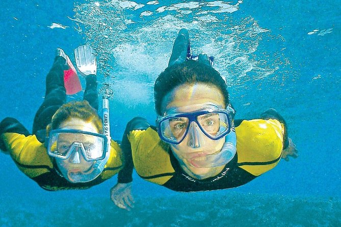 Whitsunday Islands Sail, SUP & Snorkel Tour- Small group - Important details for families and cruise passengers