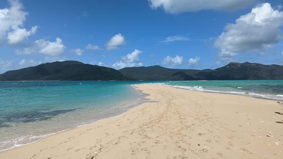Whitsundays Sailing & Snorkelling Day Tour – All Inclusive - What makes the crew important