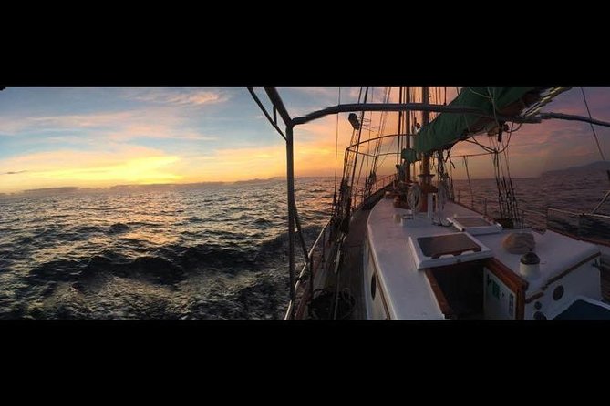 Whitsundays Sunset Sailing Cruise - Sparkling wine, shared snacks, and the practical food question