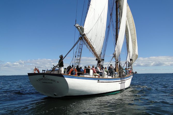 Windjammer Classic Day Sail from Camden, Maine - From Curtis Island Light to open Penobscot Bay