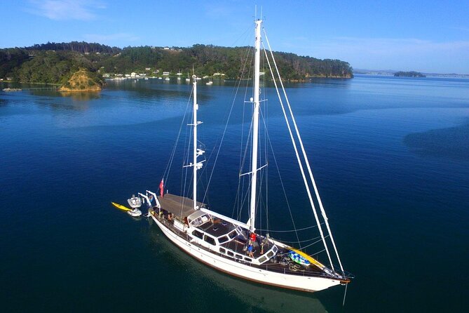 Yonder Star Sailing Yacht - Devonport, North Head, and the North Shore