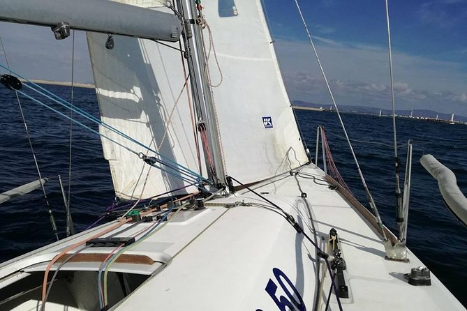 Your first experience Sailing - Private Trip in Ria Formosa - Why sailing is the right way to see Ria Formosa