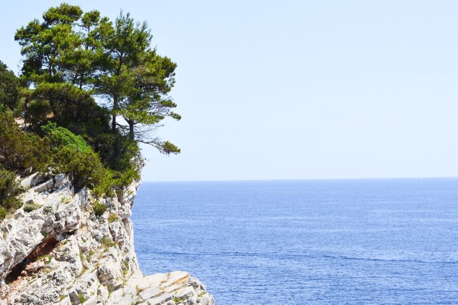 Zadar: Full-Day Sailing Trip to Kornati - What the skipper adds to the experience